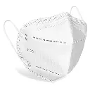 Disposable N95 Mask