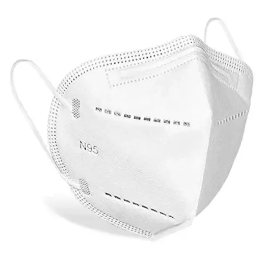 Disposable N95 Mask